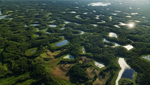 Beaver Hills Biosphere Reserve, AB: Striking Balance Series 2.