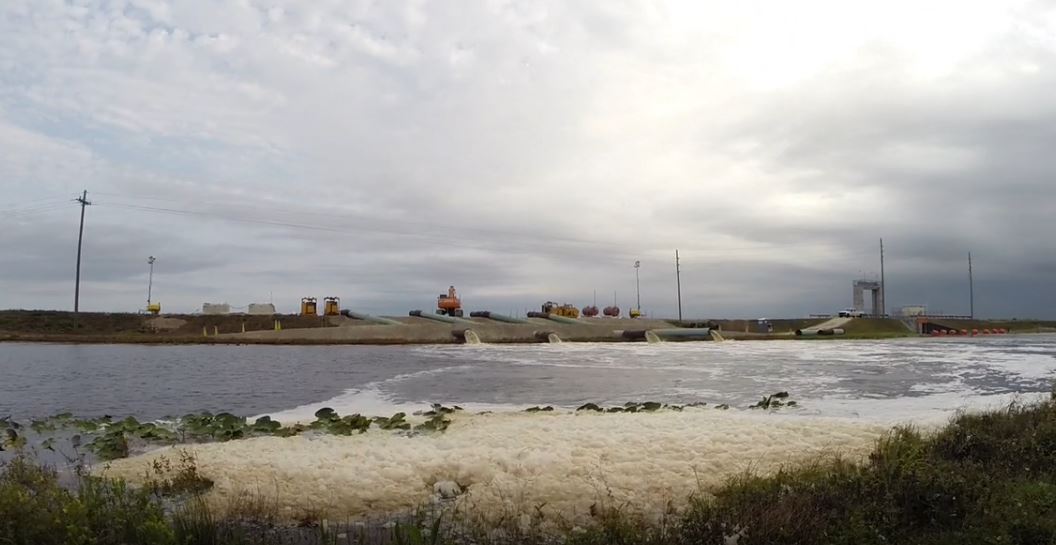 Citizen Regulators at Turkey Point: Shore Line (Shorts).