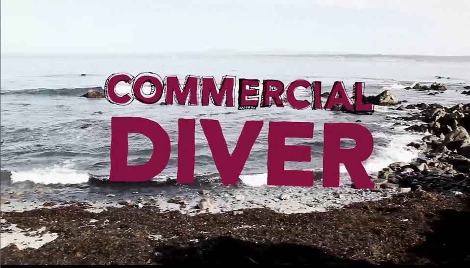 Commercial Diver: My Job Rocks Series.