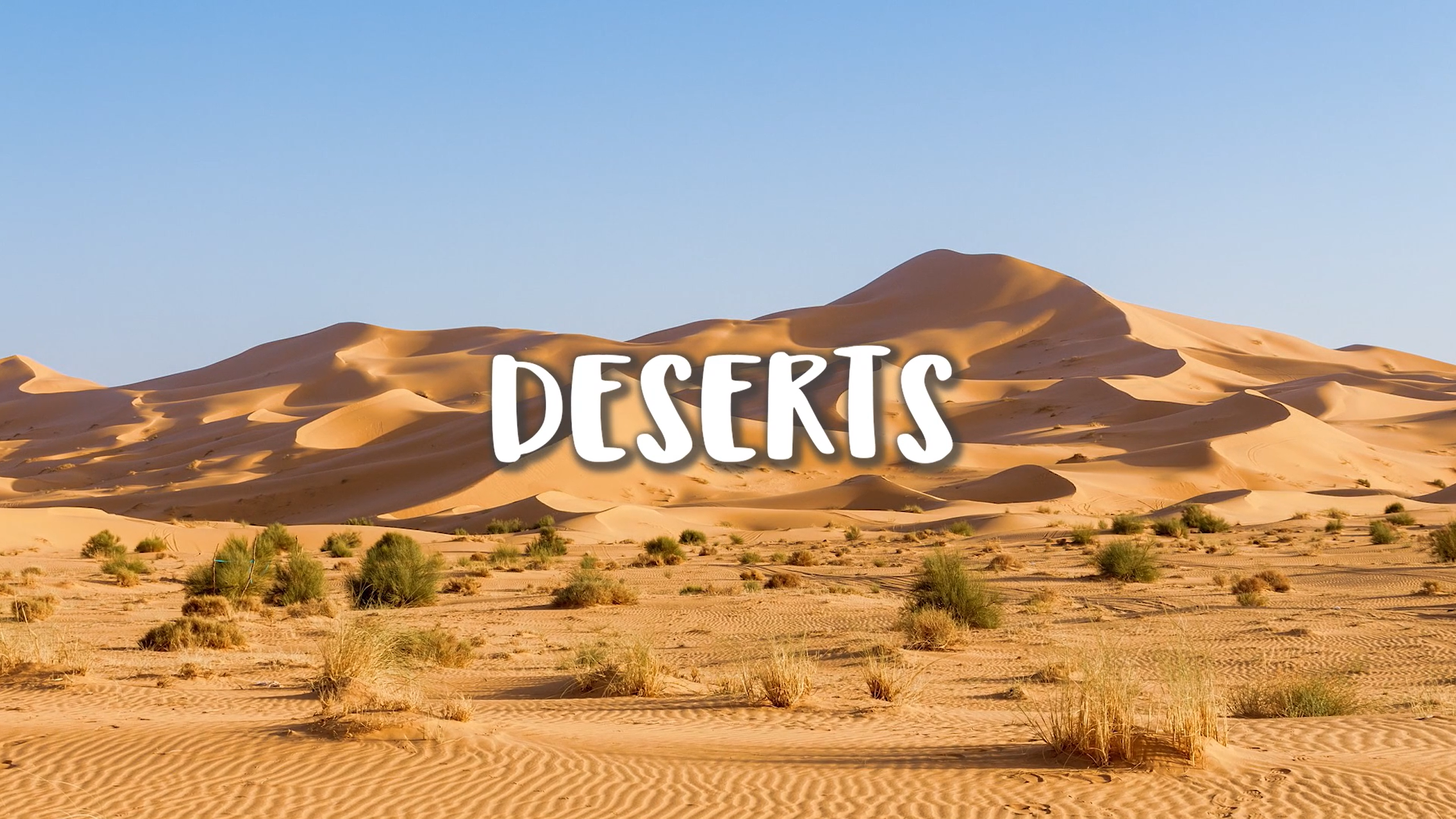 Deserts: Biomes Series.