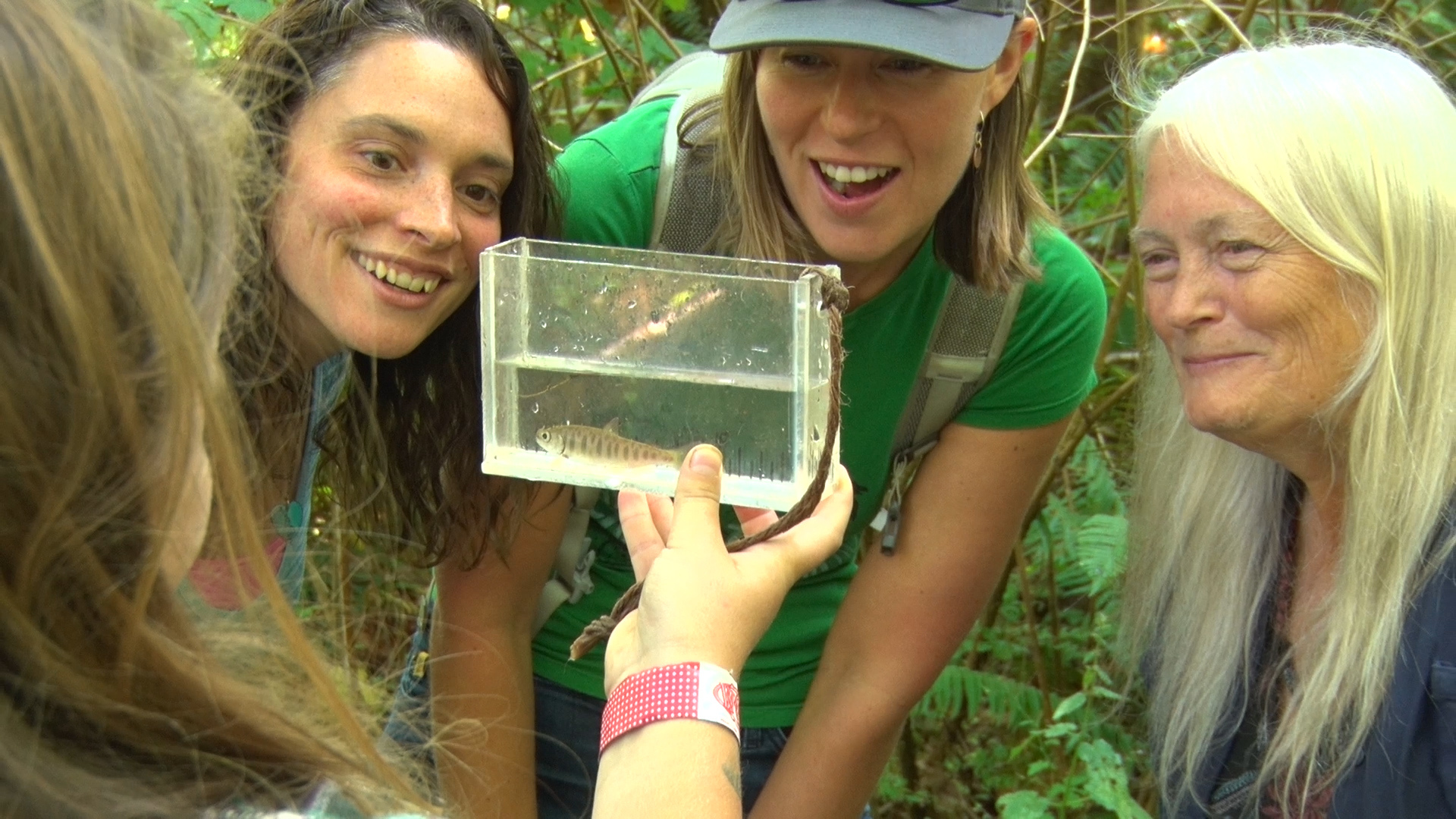 Ecology Transforms Youth (35 Minute Version).