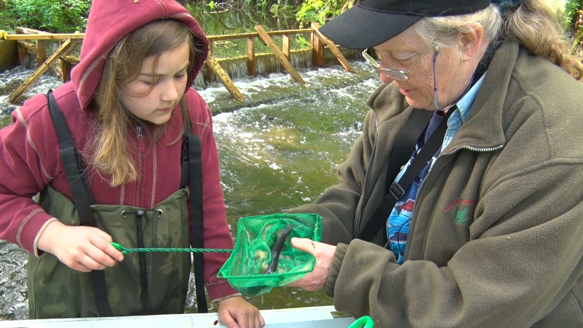 Ecology Transforms Youth (7 Minute Version).