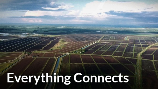 Everything Connects: Kids Can Save the Planet Series.