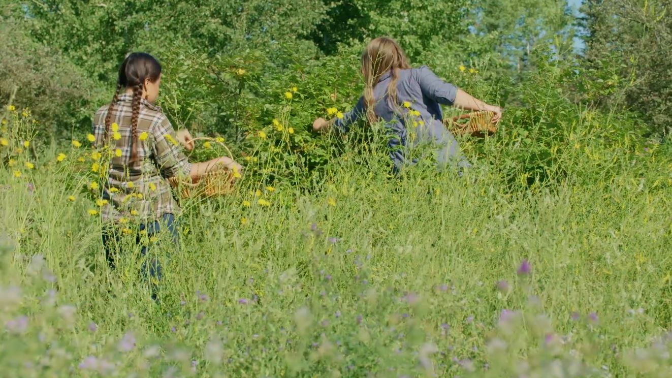 Farming and Foraging: Wild Kitchen Series.