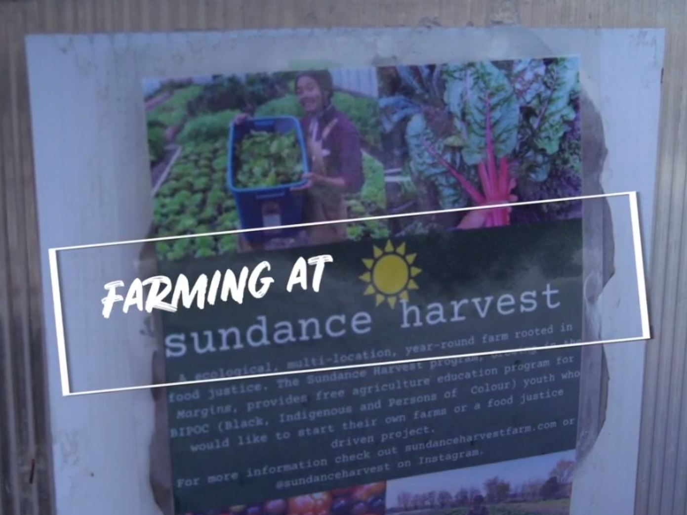 Farming at Sundance Harvest.