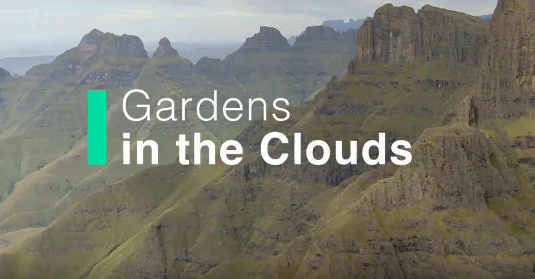 Gardens in the Clouds: Africa's Hidden Kingdom Series.