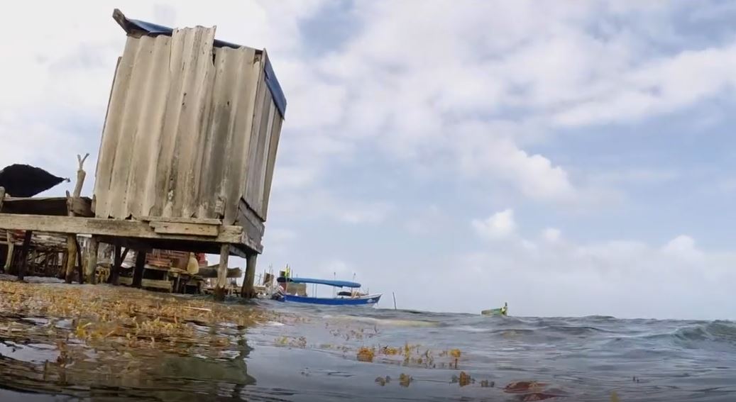 Getting to Zero Trash on Carti Sugdup: Shore Line (Shorts).