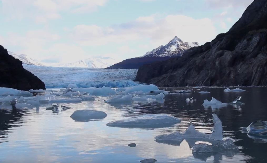 Glacier Nation: Shore Line (Shorts).