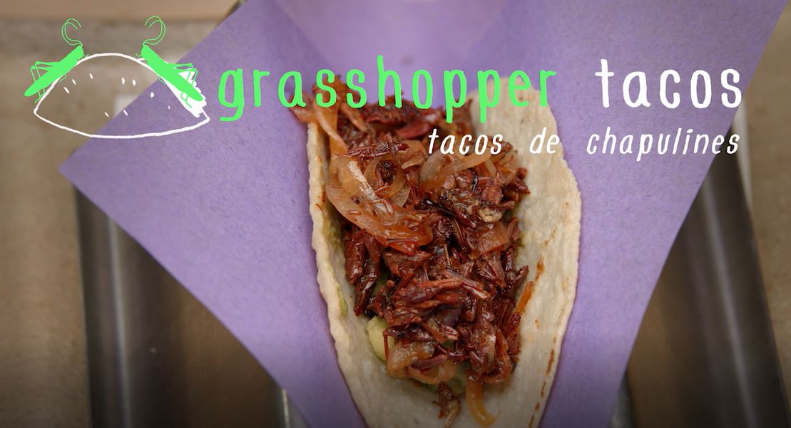 Grasshopper Tacos: Bug Bites Series.