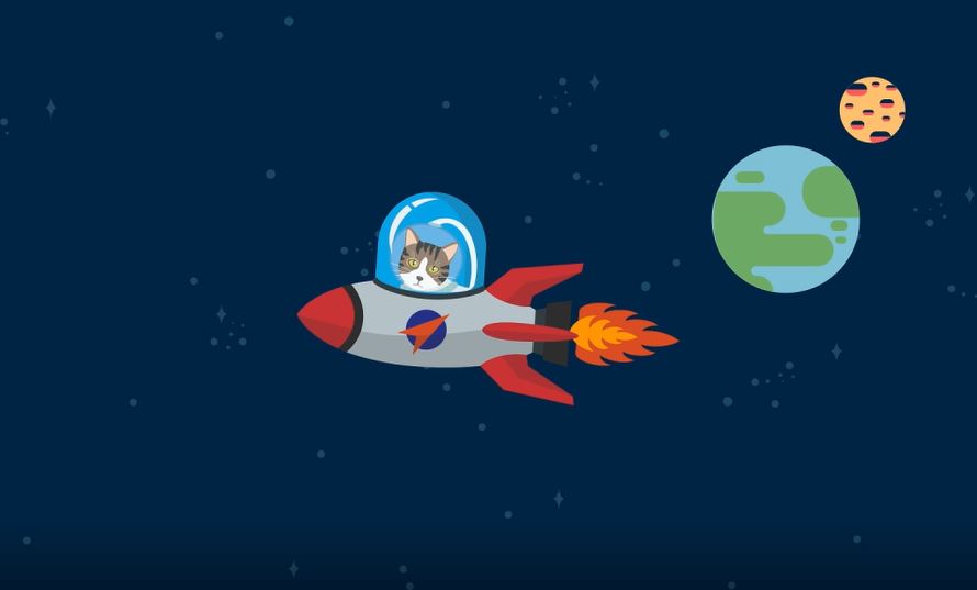 Has a Cat Ever Travelled To Space?: I Wonder... Space Series.