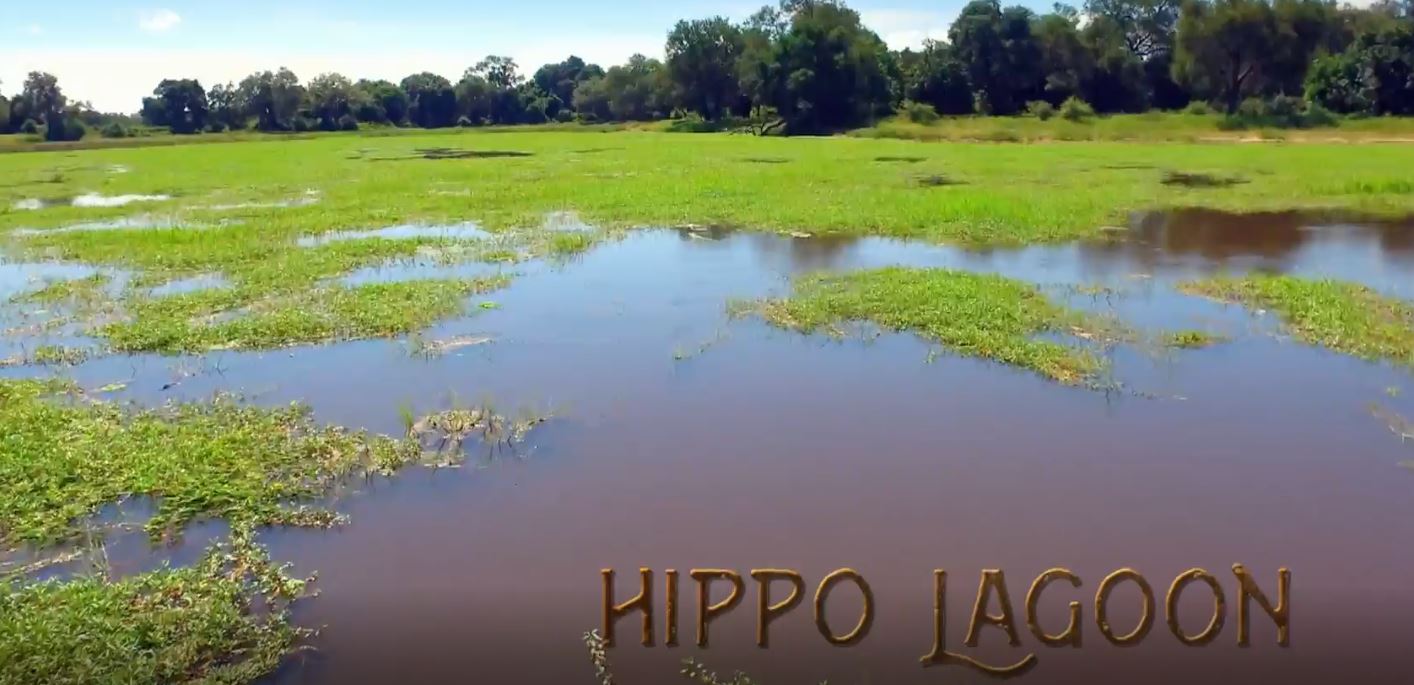 Hippo Lagoon: Untamed Valley Series.