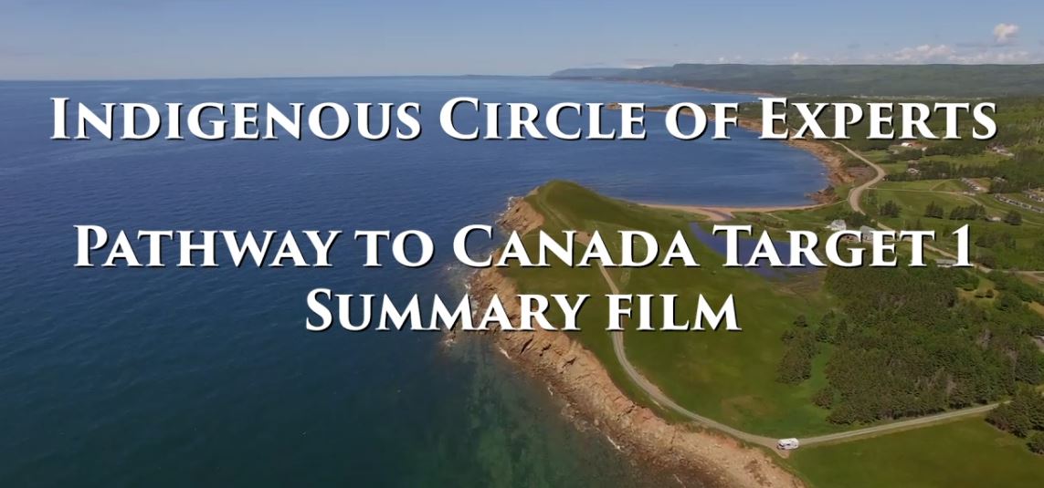 Indigenous Circle of Experts, Pathway to Canada Target 1: 2017 Summary Film.