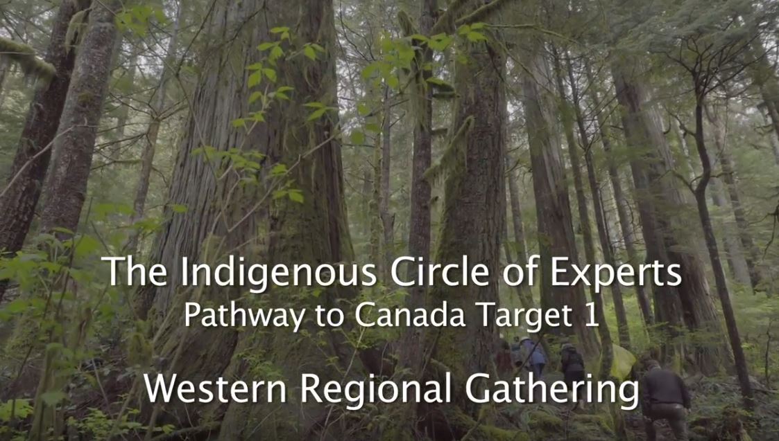 Indigenous Circle of Experts: Western Regional Gathering.