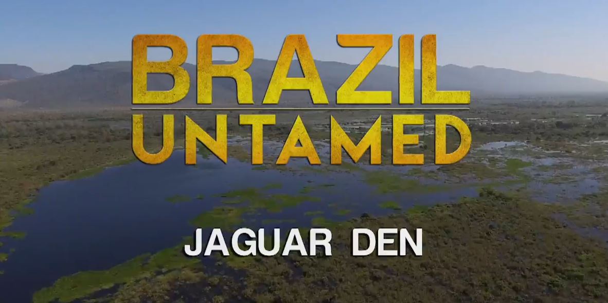 Jaguar Den: Brazil Untamed Series.