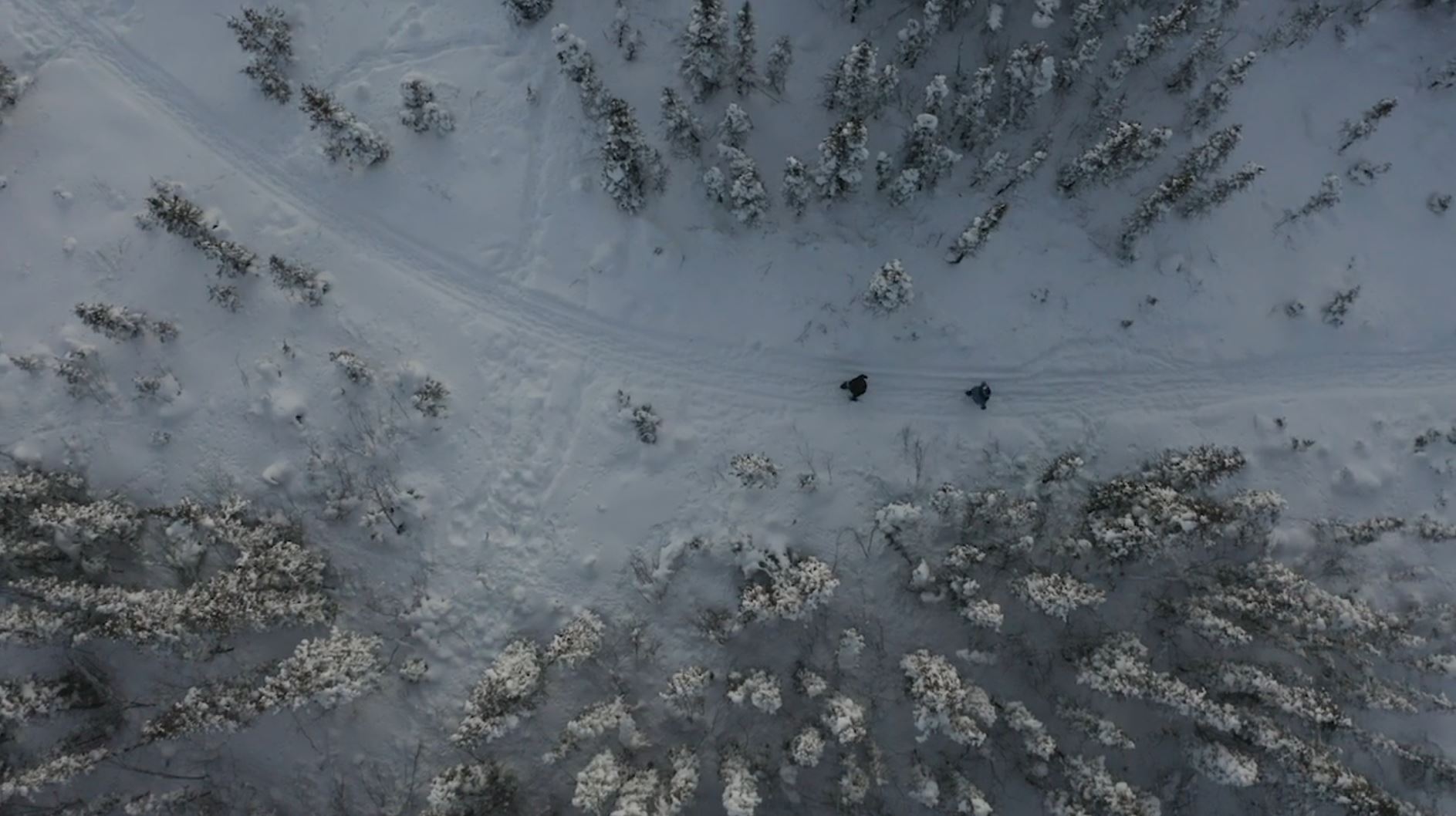 Julie Andre - An Elder on the Land: Northern/Her Series.