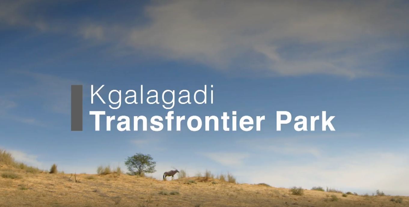 Kgalagadi Transfrontier Park: Great Parks of Africa Series.