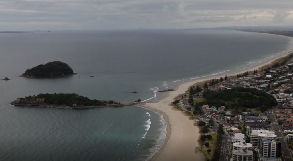 Kidneys of the Harbour: Shore Line (Shorts).