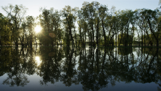 Lac Saint-Pierre Biosphere Reserve, QC: Striking Balance Series 2.