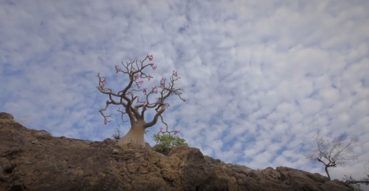 Lake Manyara National Park: Extreme Africa Series.