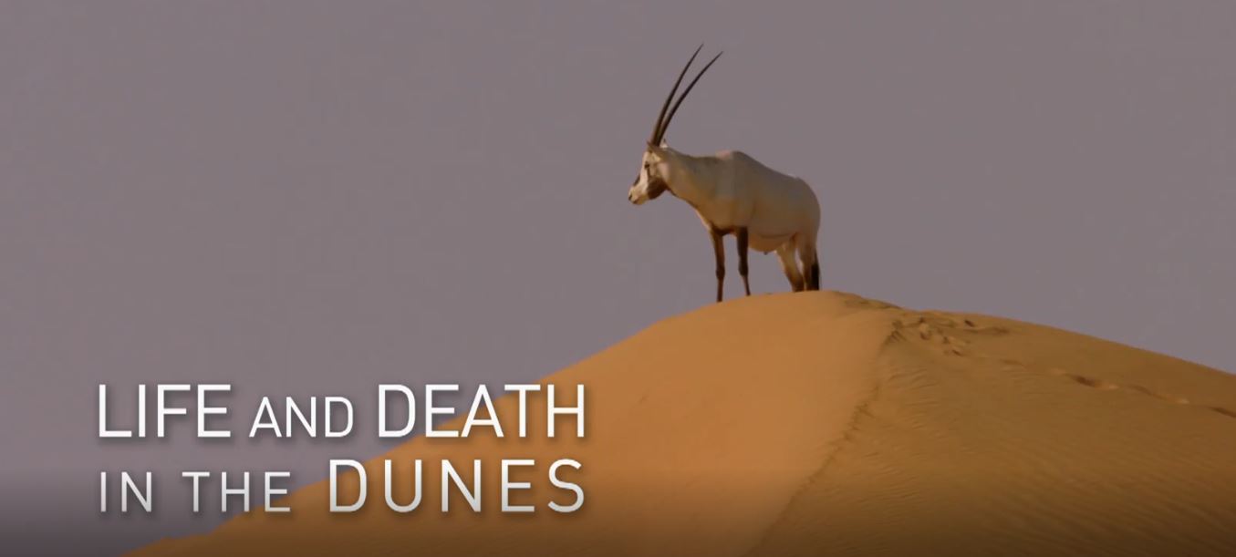 Life and Death in the Dunes: Arabian Inferno Series.