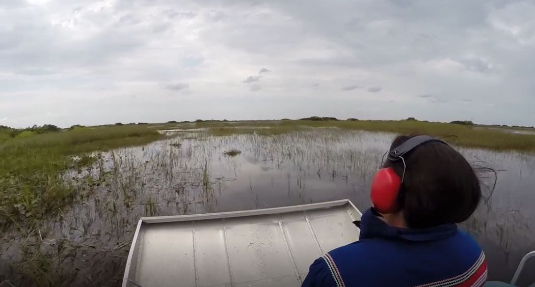 Love the Everglades: Shore Line (Shorts).