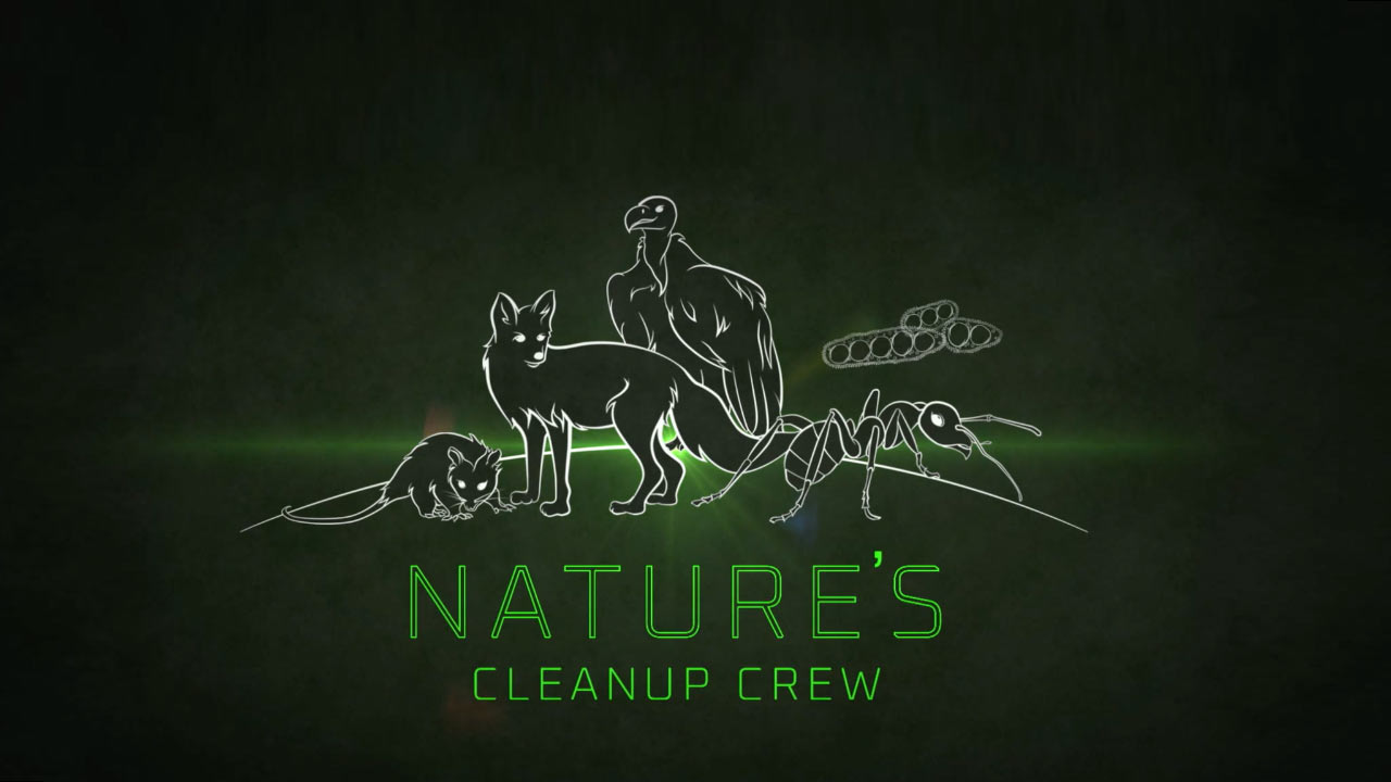 Nature's Cleanup Crew.