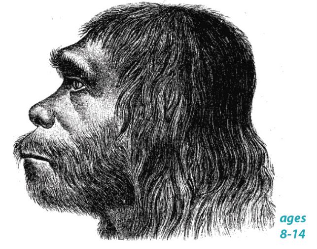 Neanderthals - A Re-Examination of their Abilities and Intelligence: Science Kids Series.