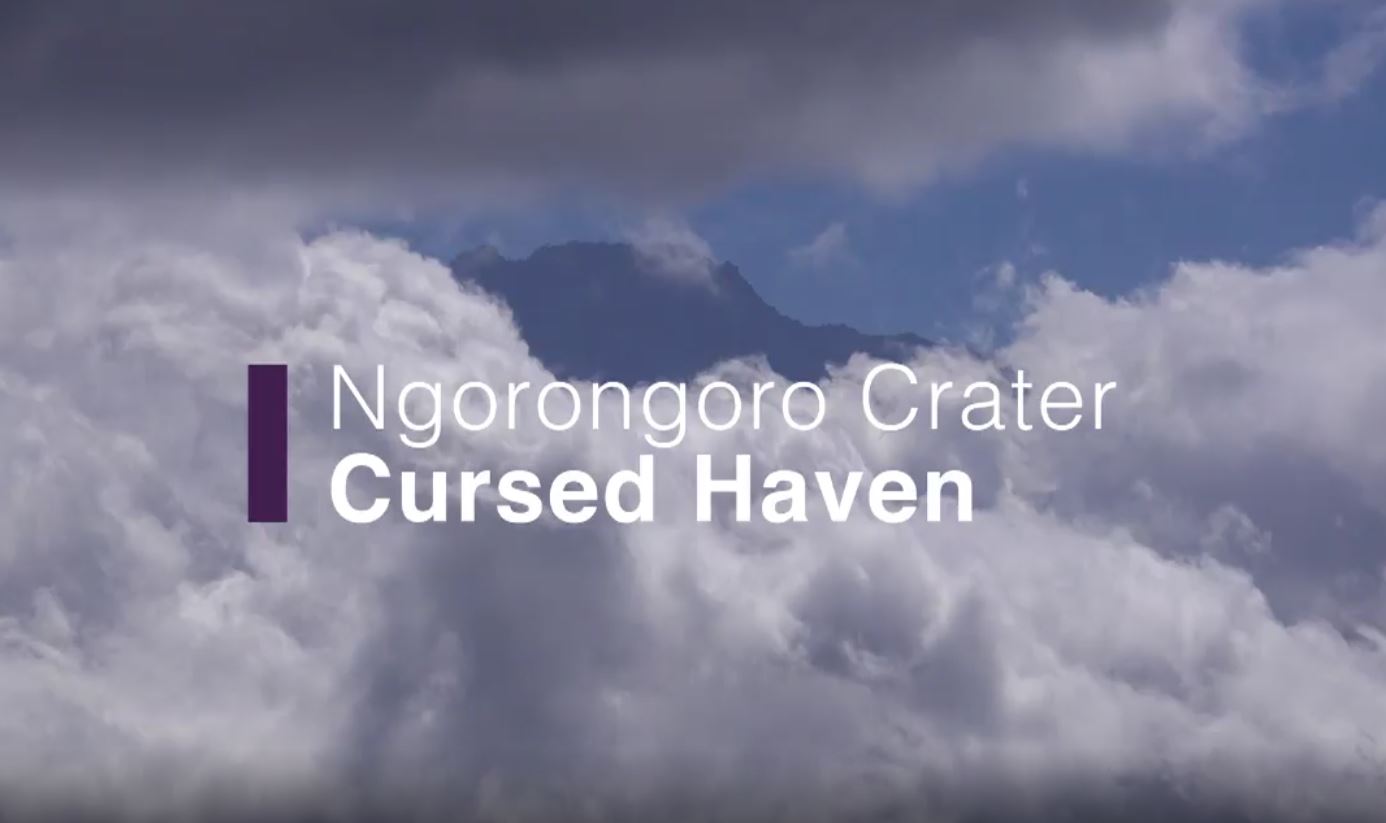 Ngorongoro Crater - Cursed Haven: Africa's Wild Horizons Series.