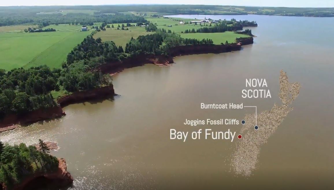 Nova Scotia: Living Beach Series.