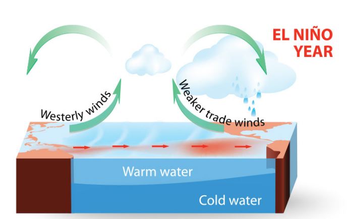 Our Changing World of Weather - El Niño and La Niña: Science Kids Series.