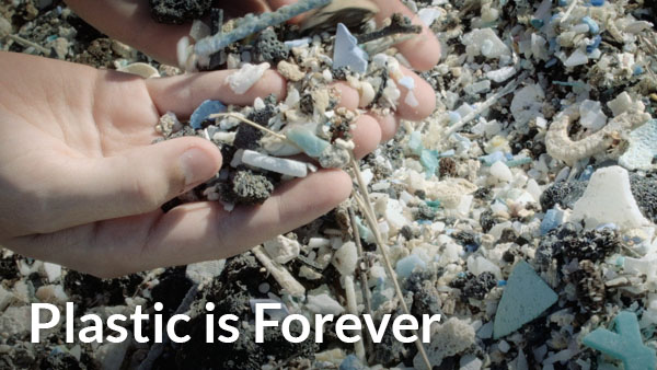 Plastic is Forever: Kids Can Save the Planet Series.