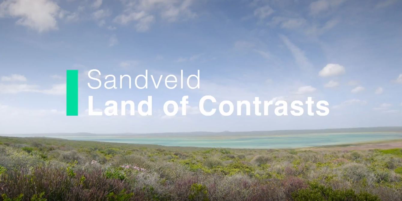 Sandveld - Land of Contrasts: Africa's Hidden Kingdom Series.