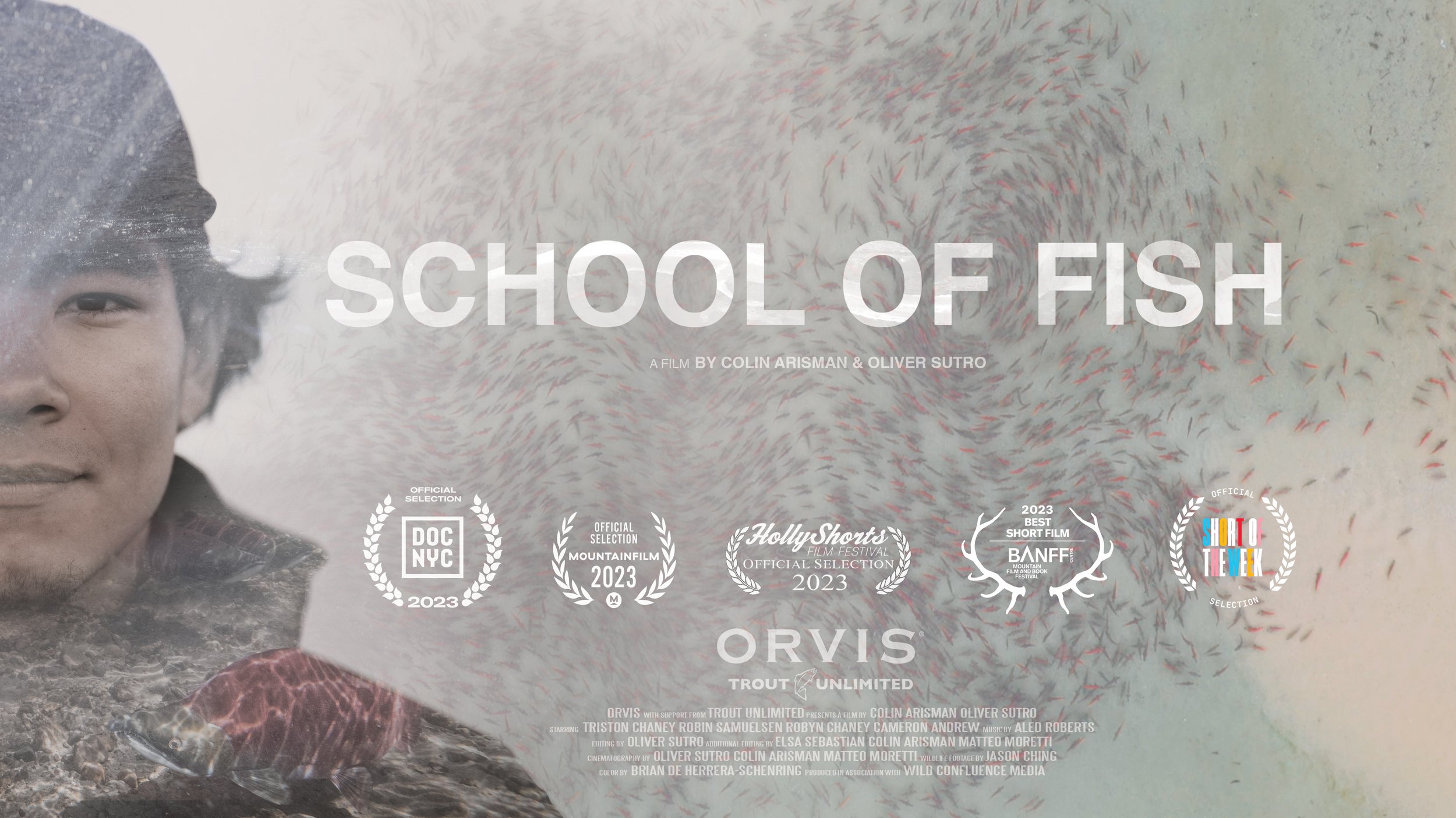 School of Fish.