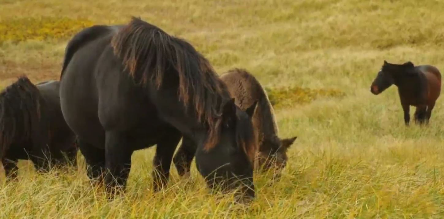 St. Pierre and Miquelon: The Wild, Wild East.