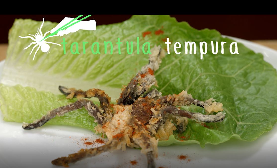 Tarantula Tempura: Bug Bites Series.