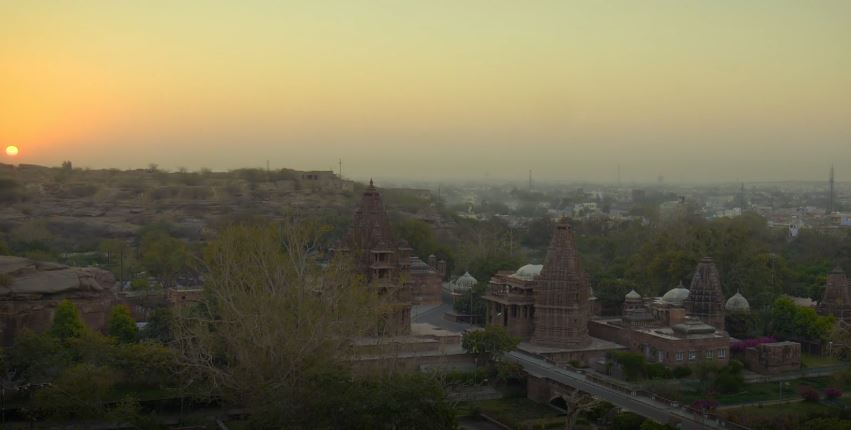 Temple Monkeys on the Run: Into the Wild - India Series.