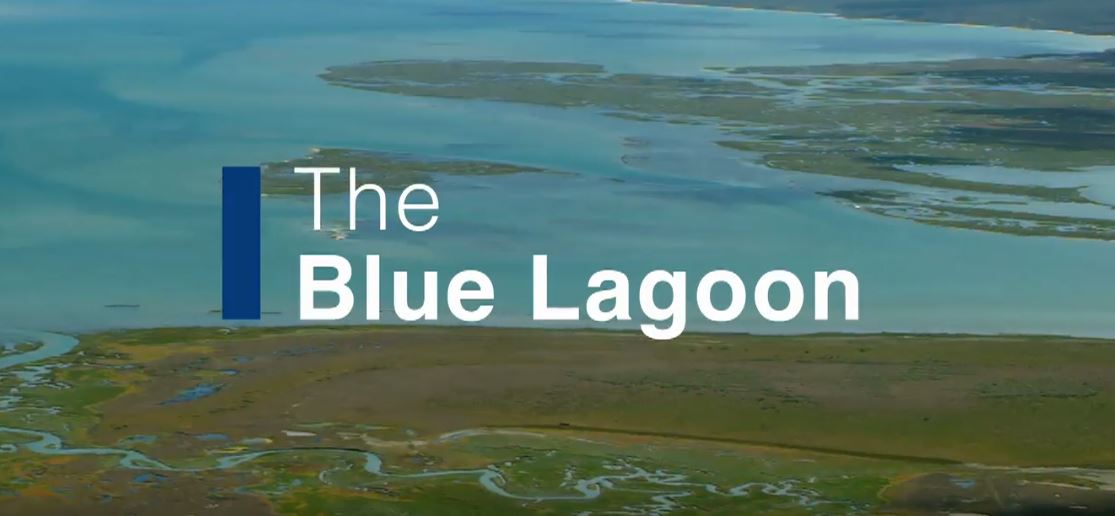 The Blue Lagoon: Waterworld Africa Series.