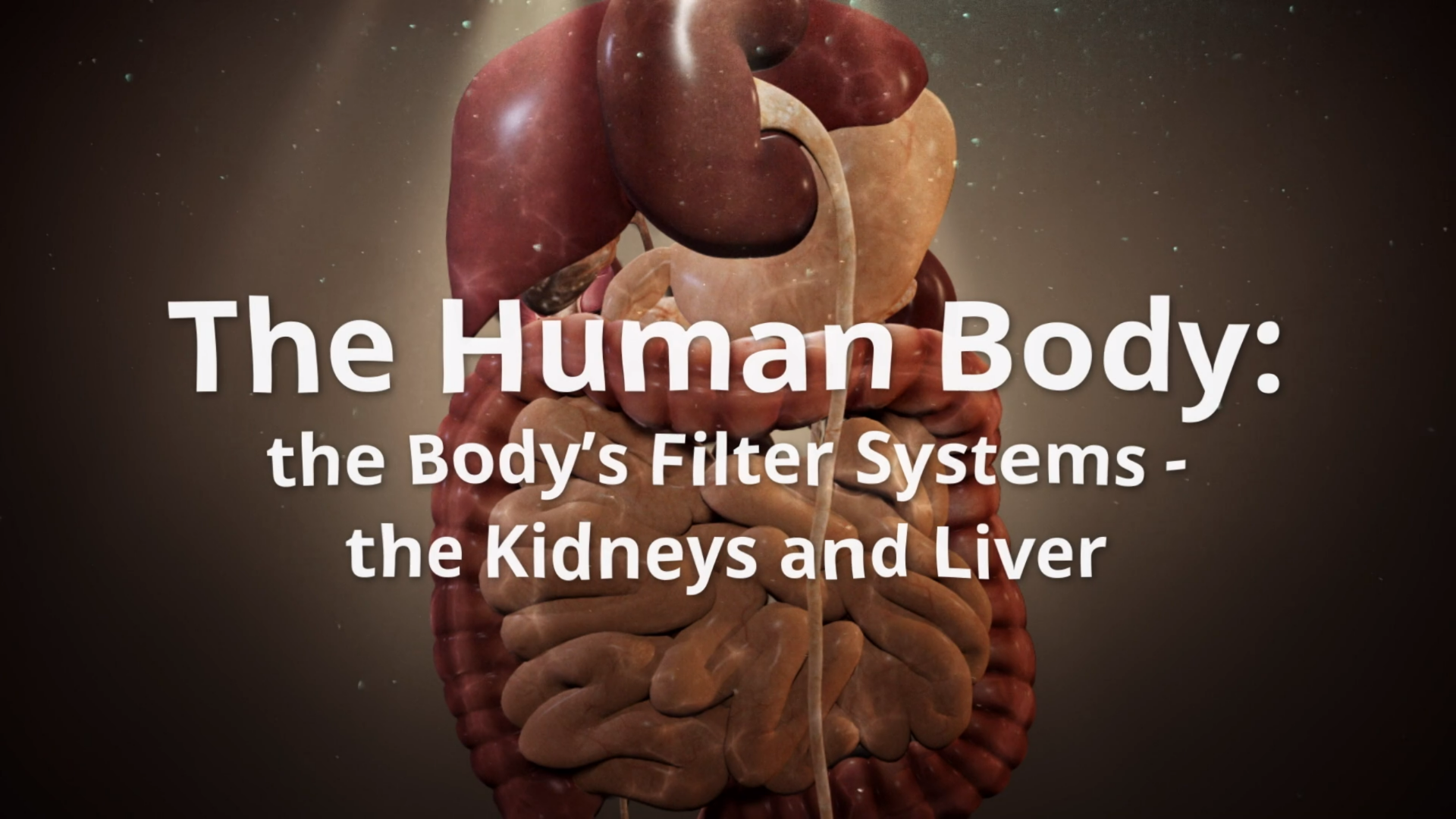 The Body's Filter Systems - The Kidneys and Liver: The Human Body Series.