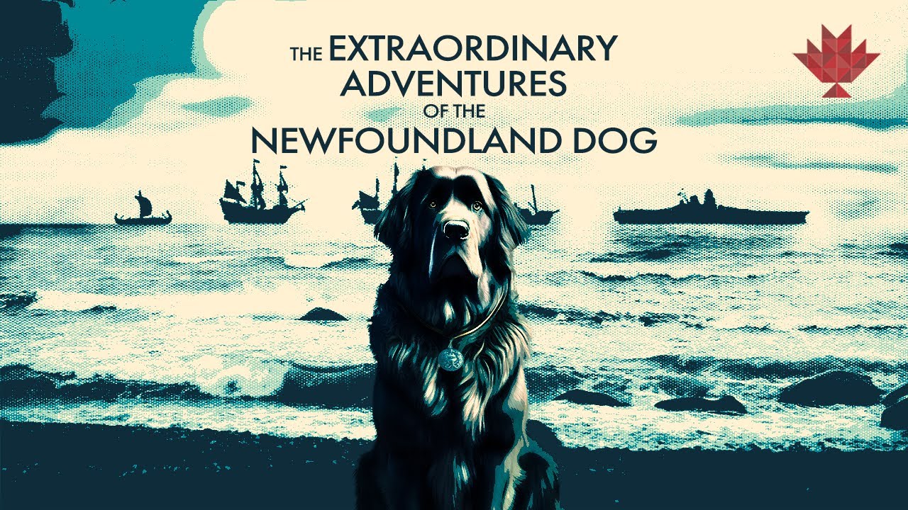 The Extraordinary Adventures of the Newfoundland Dog: Canadiana, Season 3.