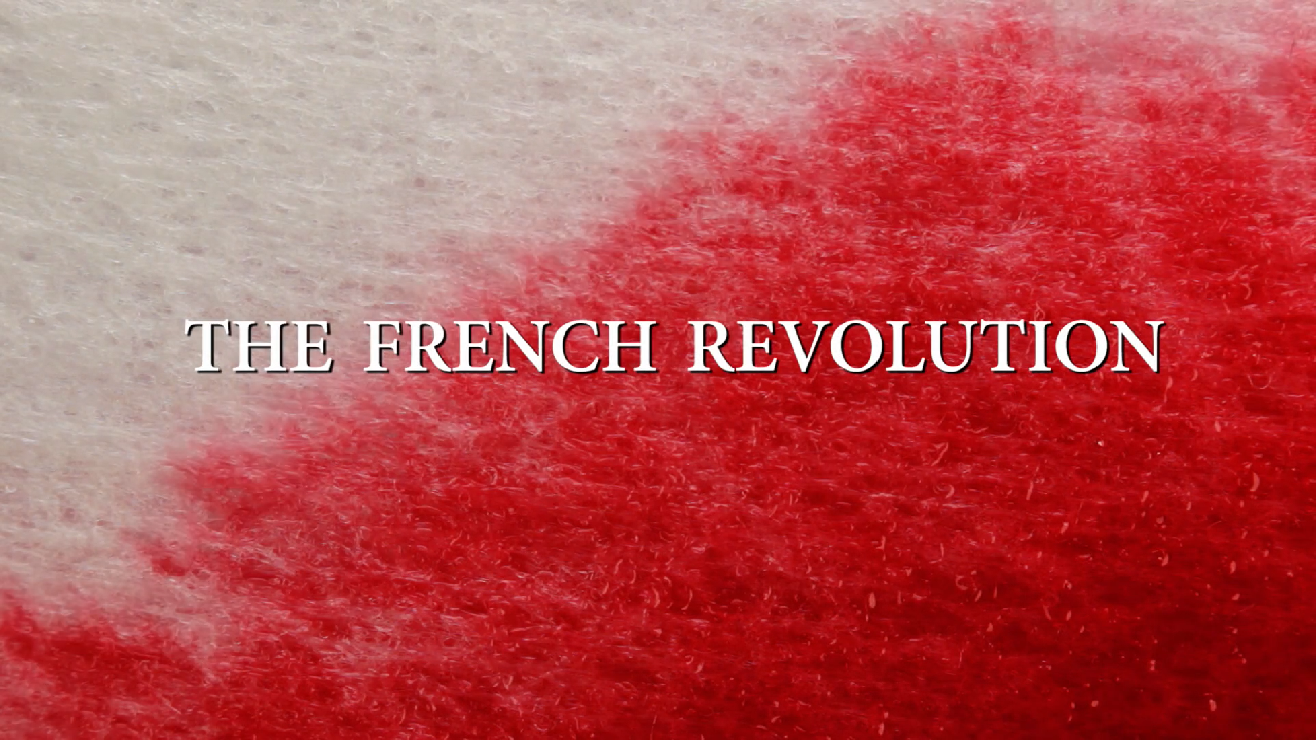 The French Revolution: Revolutions Series.