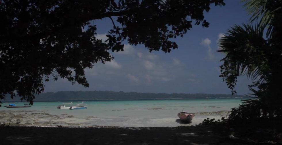 The Future of Coral Reefs: Shore Line (Shorts).