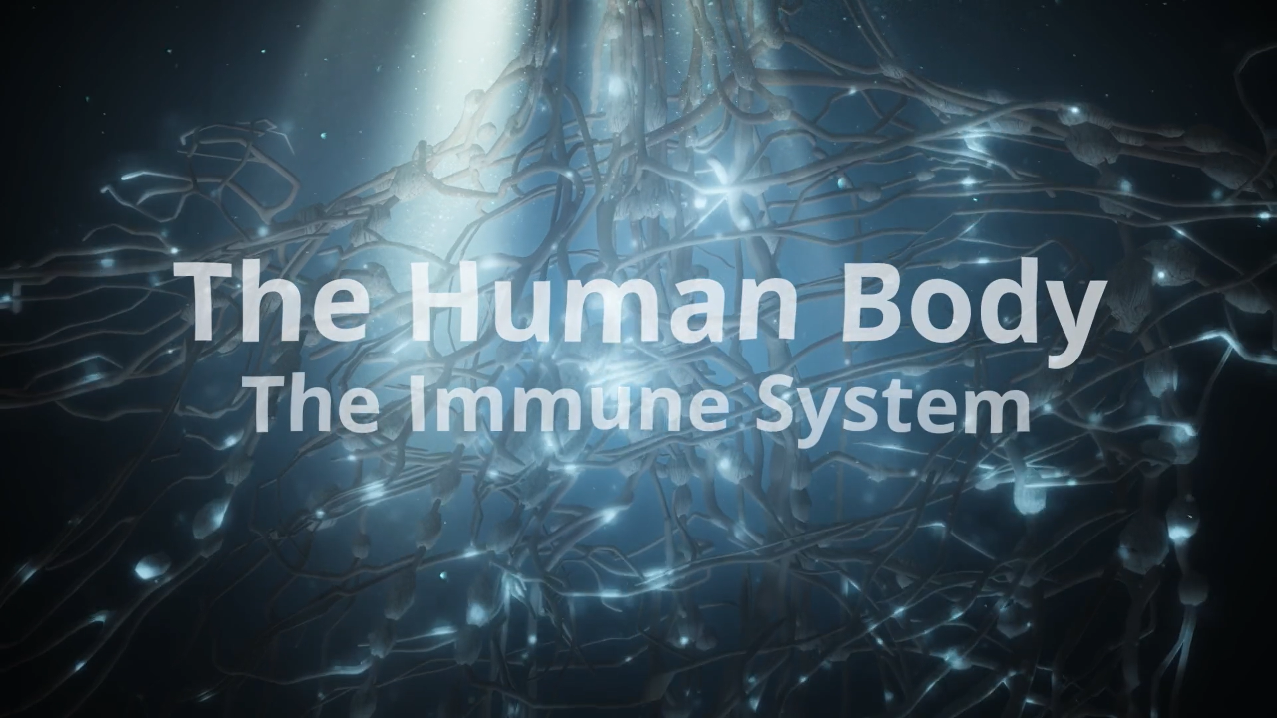 The Immune System: The Human Body Series.