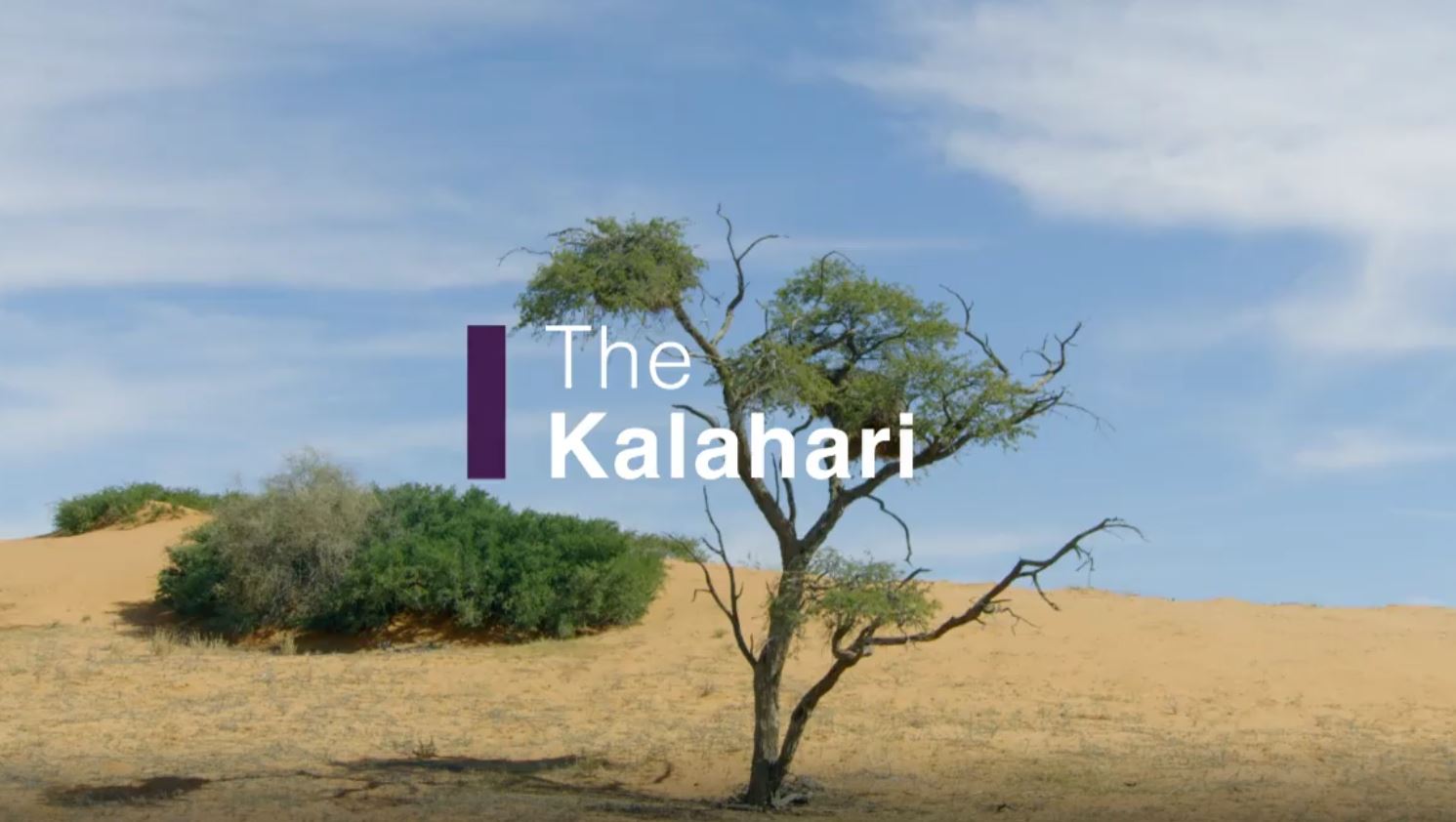 The Kalahari: Africa's Wild Horizons Series.