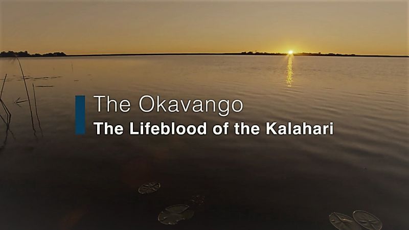 The Okavango - Lifeblood of the Kalahari: Waterworld Africa Series.