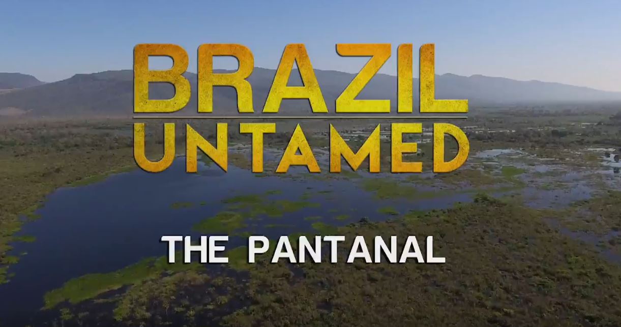 The Pantanal: Brazil Untamed Series.