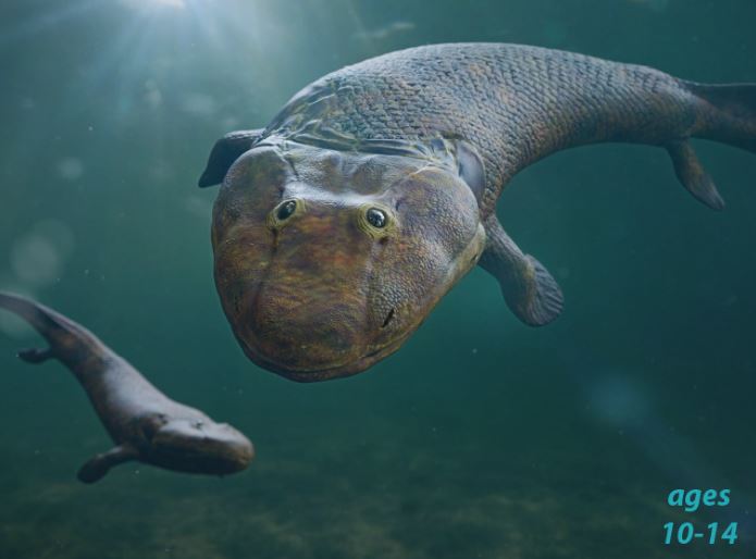 Tiktaalik - Ancient Fish, Human Ancestor: Science Kids Series.