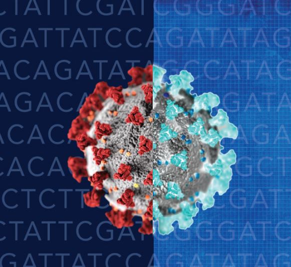 Understanding COVID-19 Variants - Delta, Lambda and Beyond: Science Kids Series.