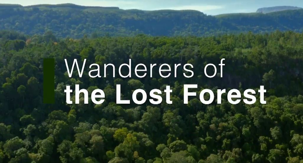 Wanderers of the Lost Forest: Land of Primates Series.