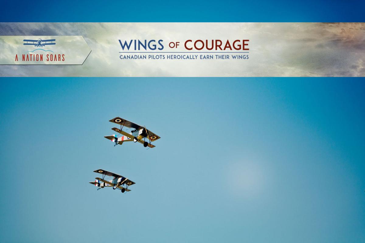 Wings of Courage: A Nation Soars Series.