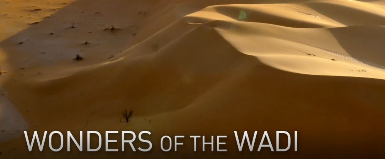 Wonders of the Wadi: Arabian Inferno Series.